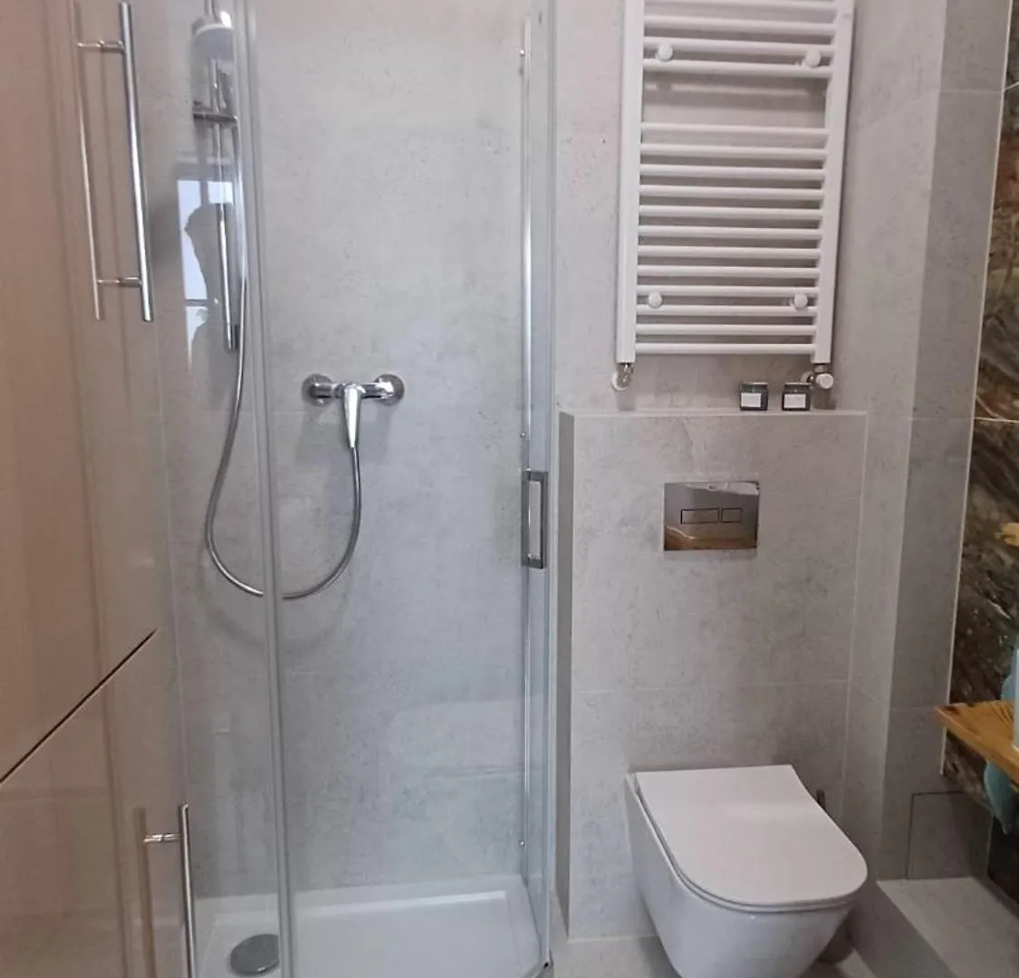 Glogowska 163 Self Check-In 24H Apartment Poznan 0*,